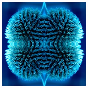 https://www.alainpierot.com:443/files/gimgs/th-13_bombe web.jpg